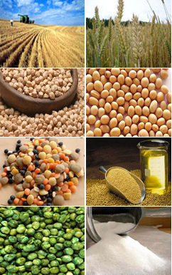 commodities